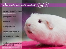Uchovnenie morčiat (grafika)